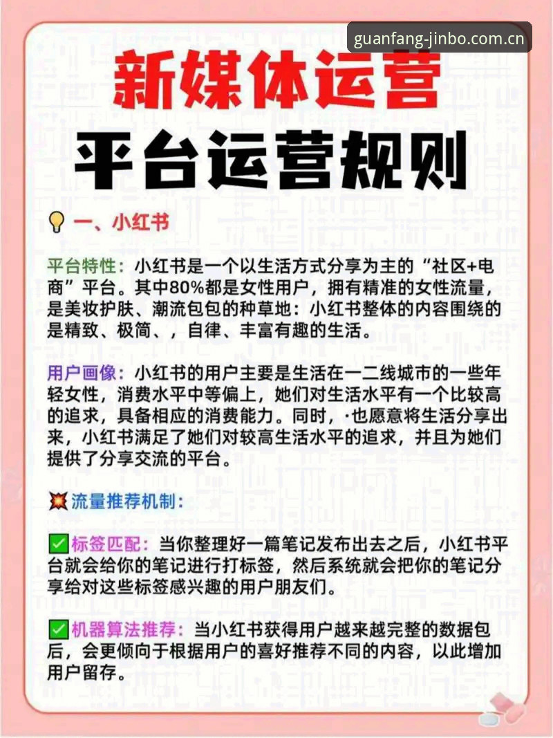 金博使用教程：7个核心步骤让你快速掌握官方正版平台的完整玩法